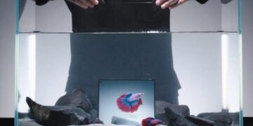 foto: vivo x fold 5