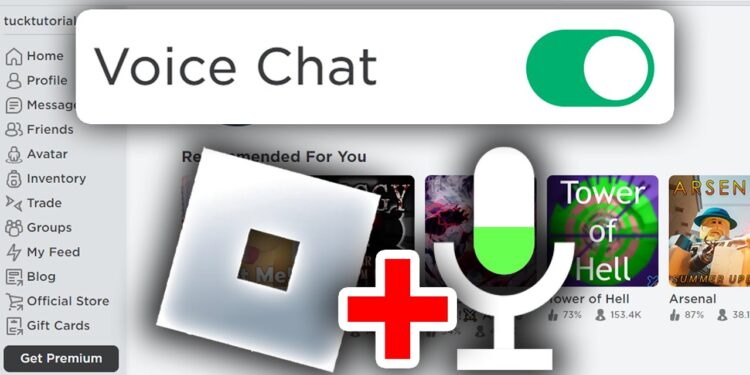 foto Voice Chat Roblox