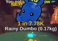 foto: rainy dumbo fish it