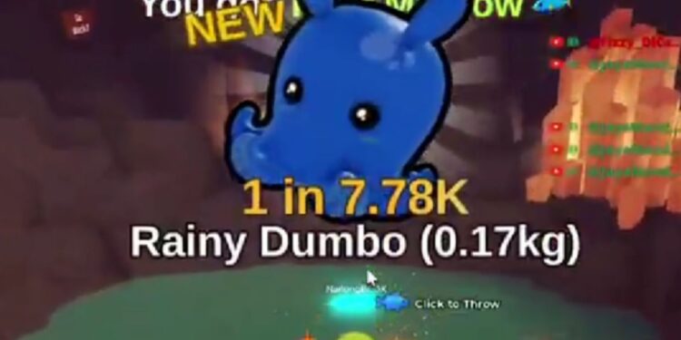 foto: rainy dumbo fish it